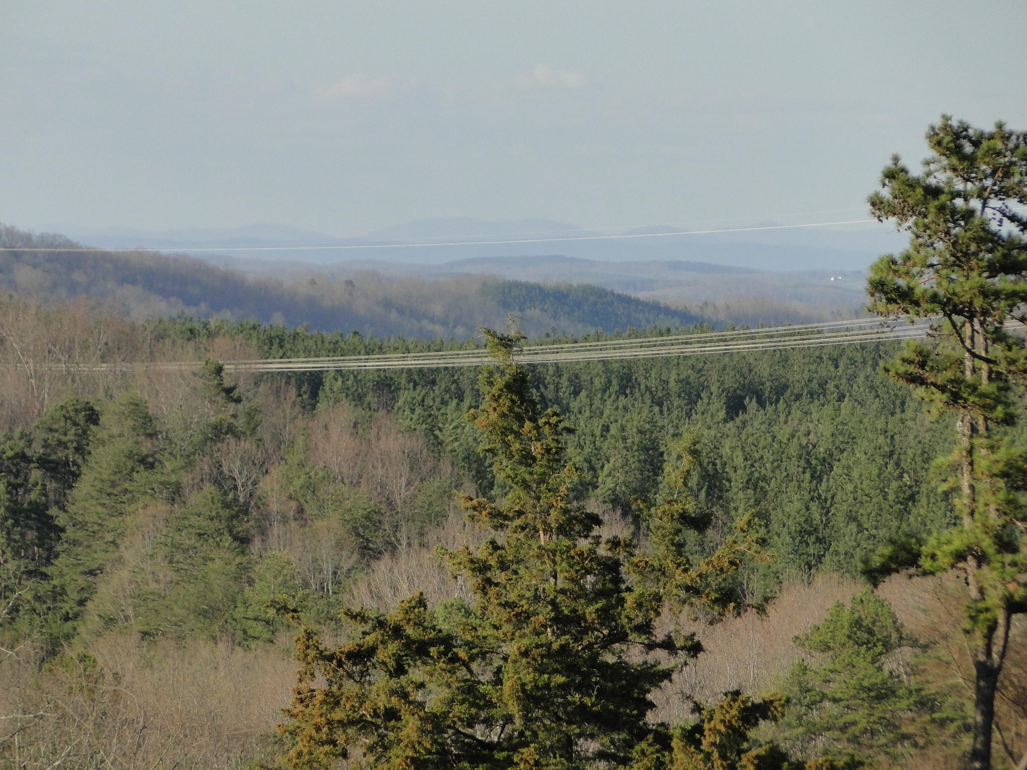 Tract #1 Brickell Ridge Road Decatur, TN 37322 - Photo 8 of 28 DSC08159