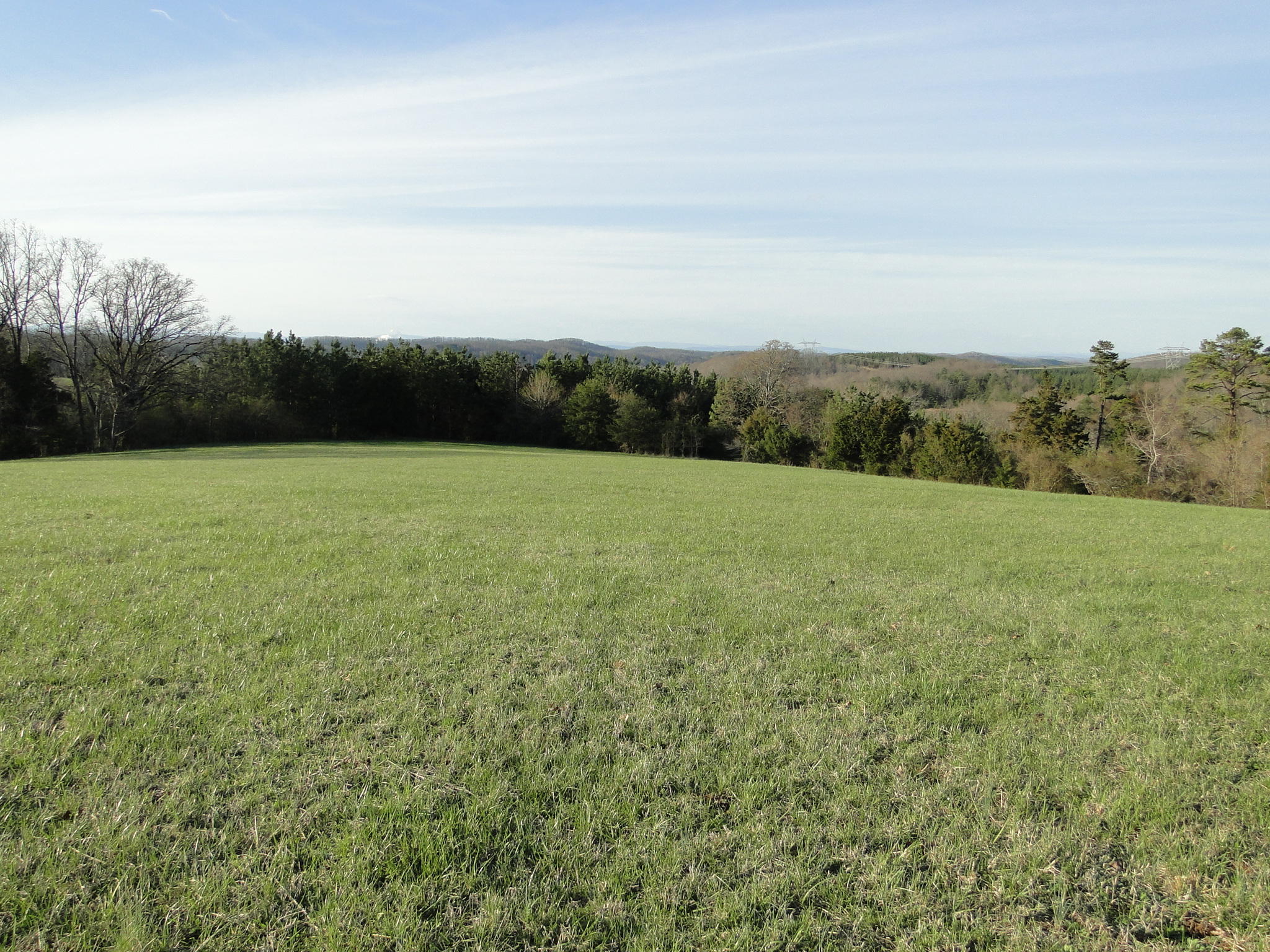 Tract #1 Brickell Ridge Road Decatur, TN 37322 - Photo 10 of 28 DSC08162