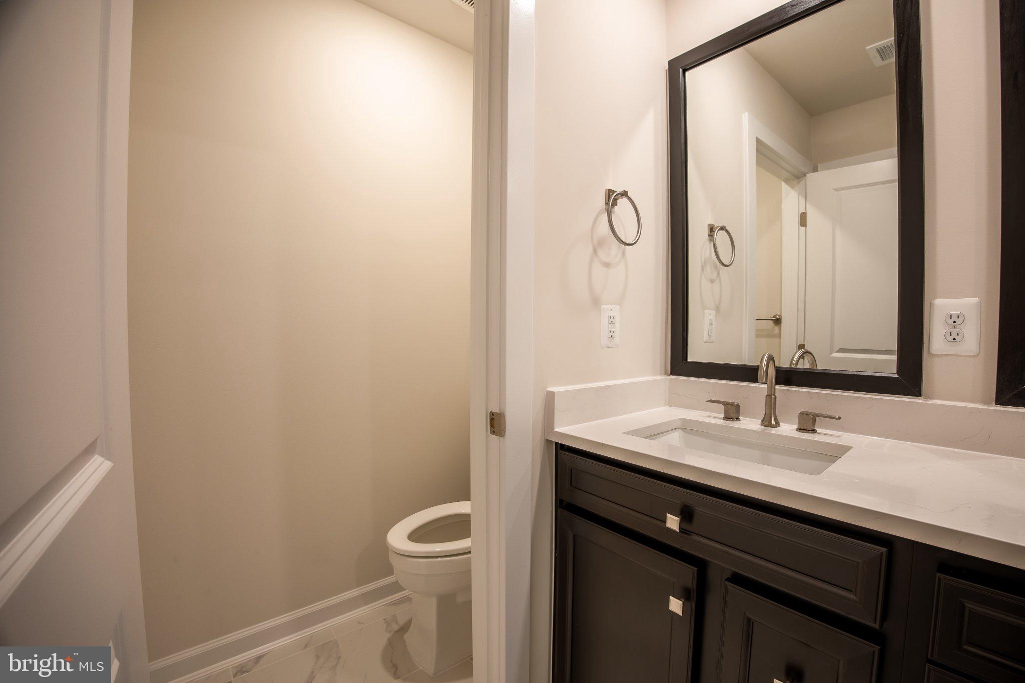 5313 8th Road South Arlington, VA 22204 - Photo 38 of 50 Sleek modern bathroom with elegance.