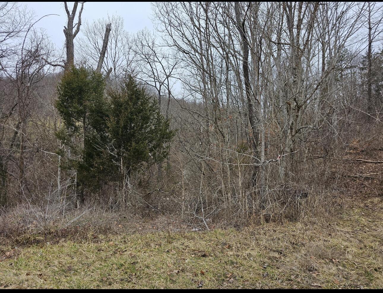 10374 South Wilderness Road Livingston, KY 40445 - Photo 19 of 20 IMG_0440