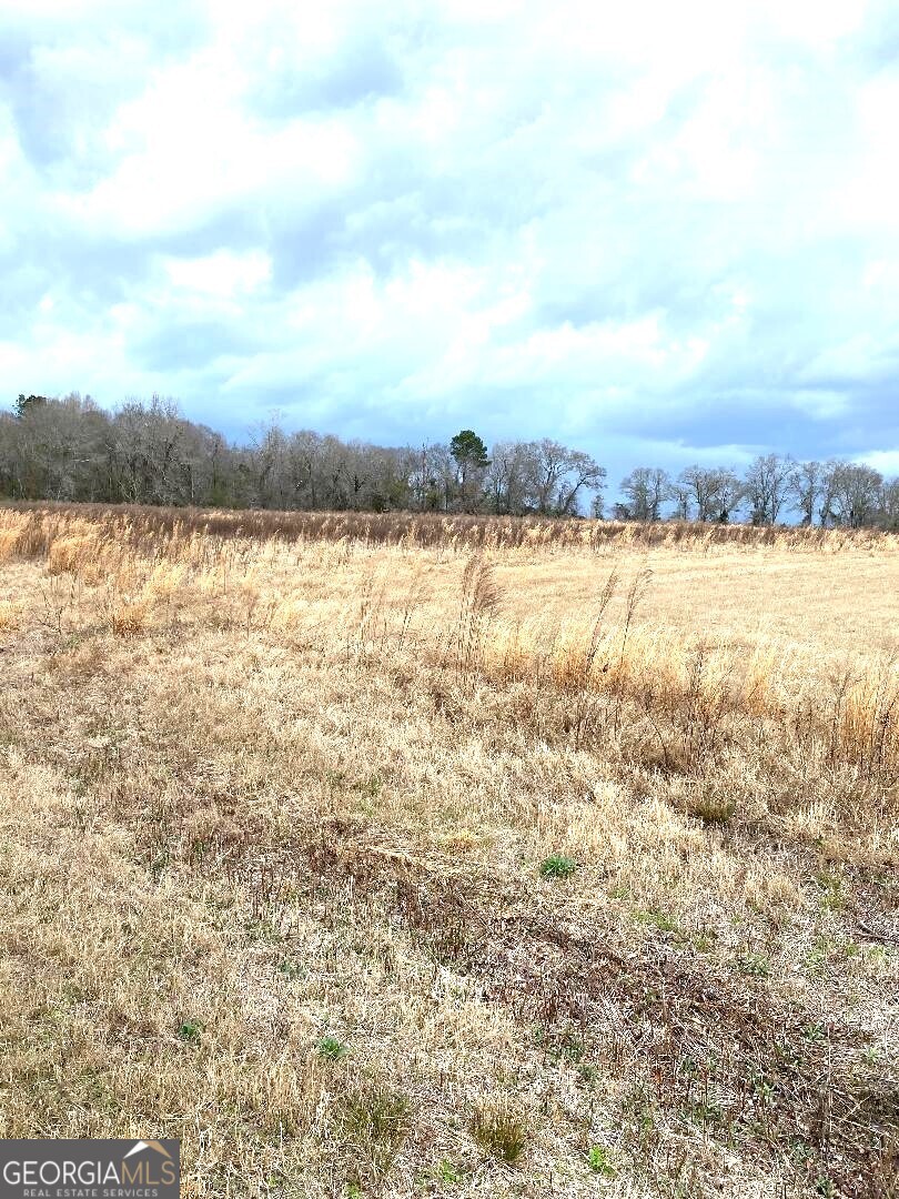 0 Allen Ranch Road Chester, GA 31012 - Photo 4 of 6