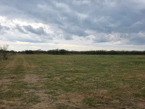 a view of a field with an ocean and trees