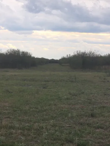 a view of a field with trees in background