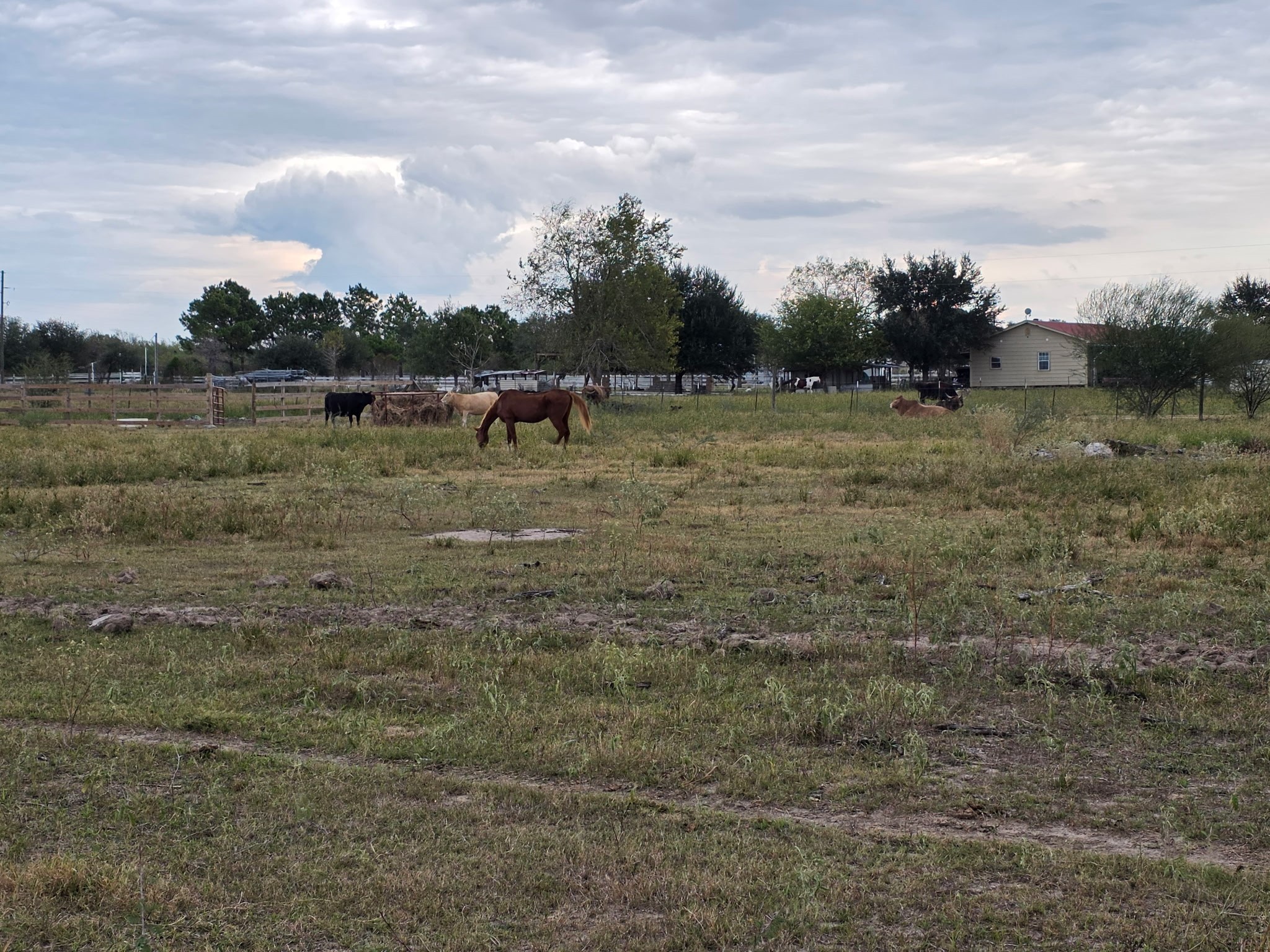 36847 Richard Frey Road, Unit 3 Hempstead, TX 77445 - Photo 15 of 15 a view of a field with trees in background