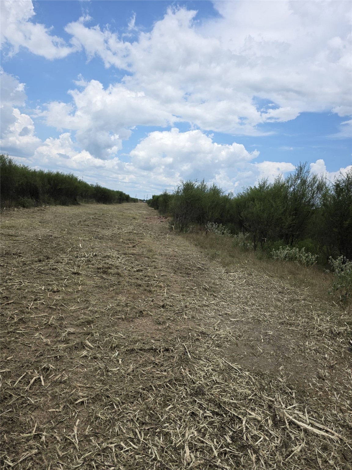 36847 Richard Frey Road, Unit 3 Hempstead, TX 77445 - Photo 7 of 15 a view of a lake view
