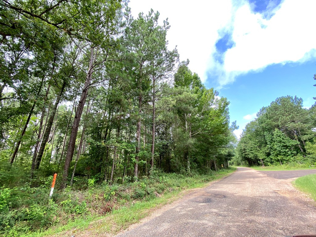 0 Southeast Fox/willow Lane Ruth, MS 39662 - Photo 5 of 22 Photo 5