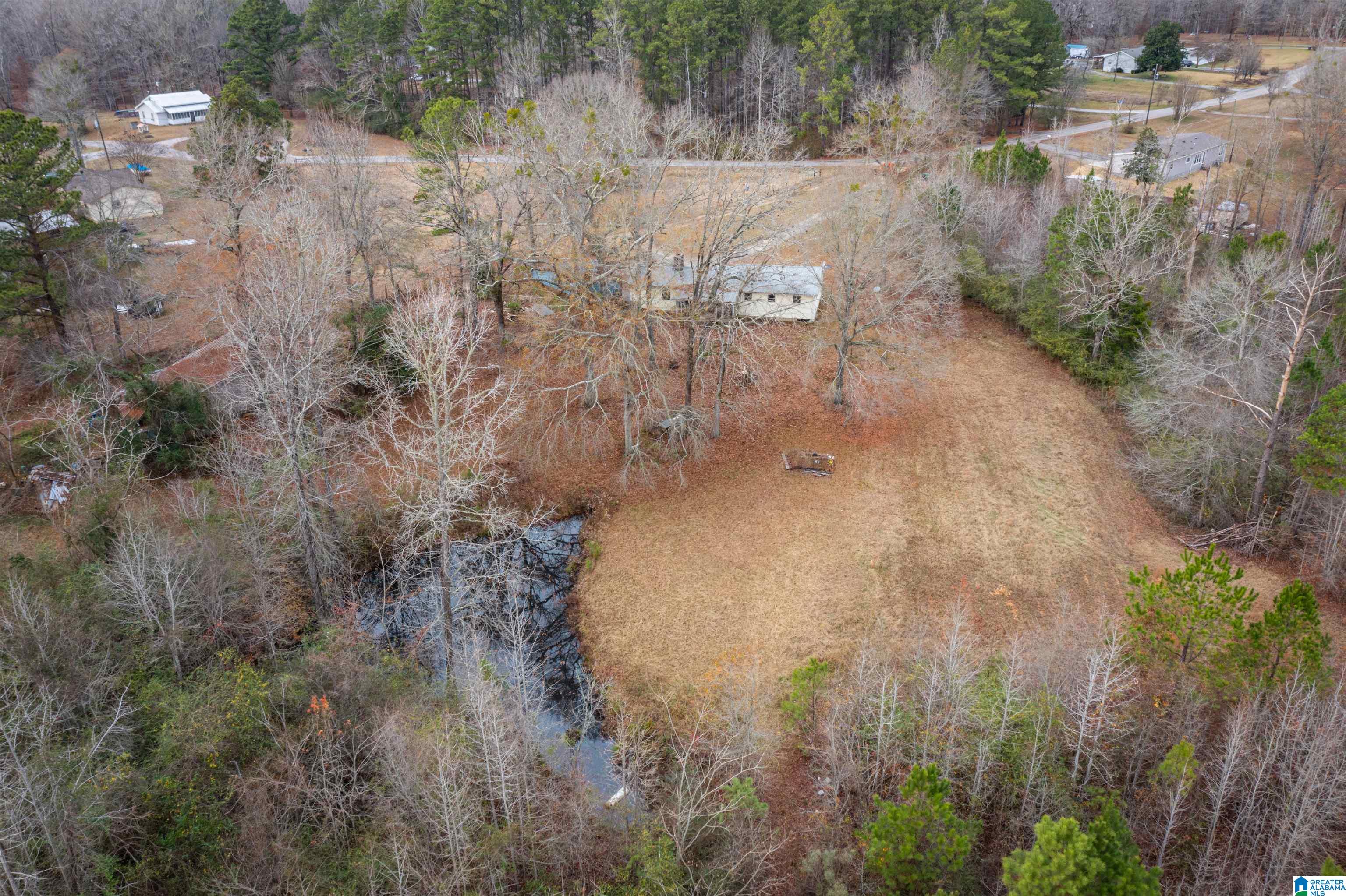 761 Dorough Road Columbiana, AL 35051 - Photo 6 of 21