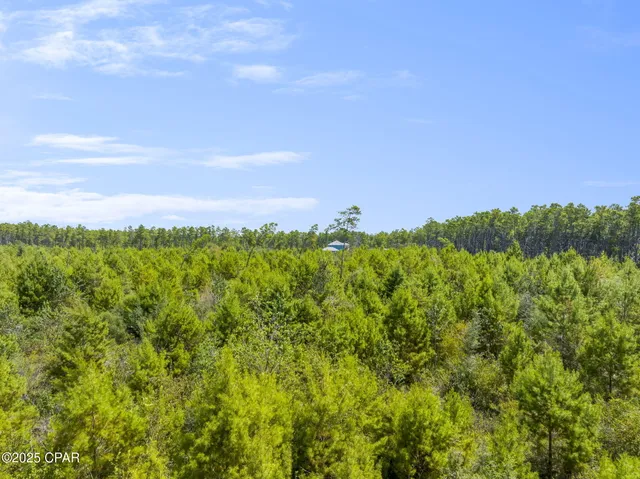 $66,900 | 0 Coyote Trail, Chipley, FL 32428