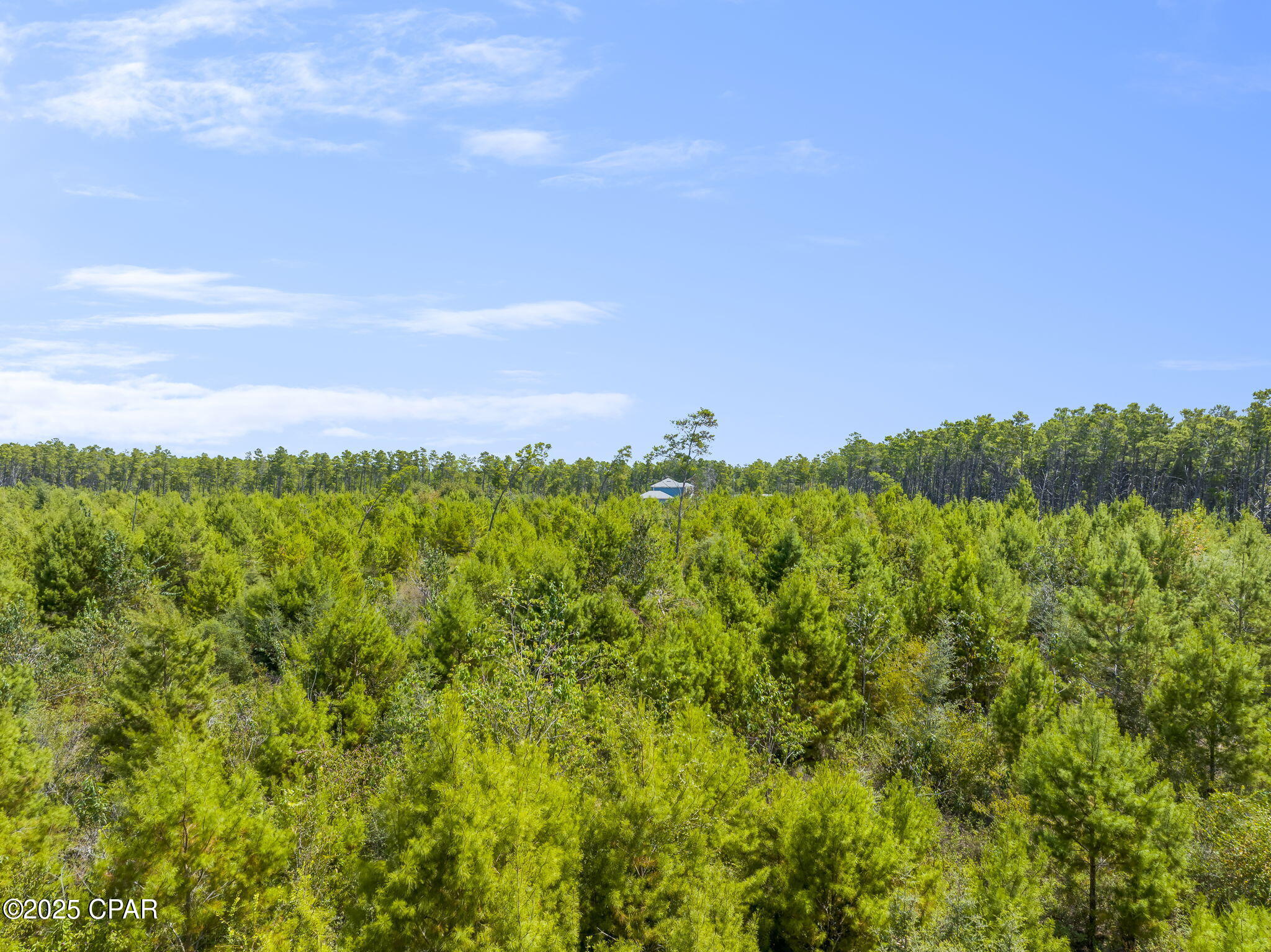 0 Coyote Trail Chipley, FL 32428 - Photo 10 of 10