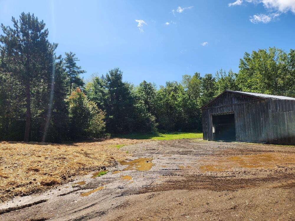 157 Wing Road Levant, ME 04456 - Photo 37 of 50 20230831_113221_resized