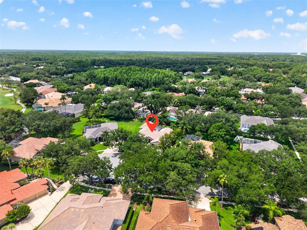 17804 Ridgeway Court Tampa, FL 33647 - Photo 47 of 59 Gallery Image 47