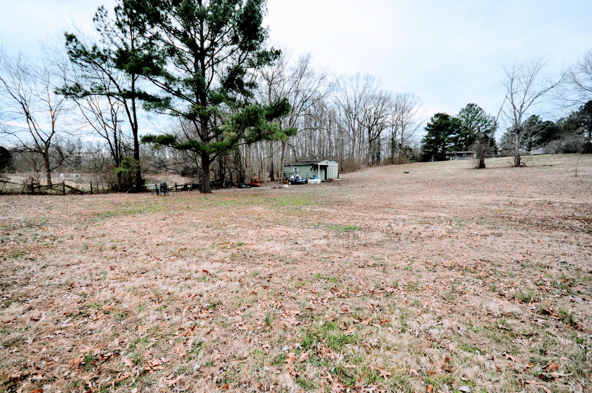 290 Lakeview Manor Road Springville, TN 38256 - Photo 35 of 36 a view of empty space with large trees