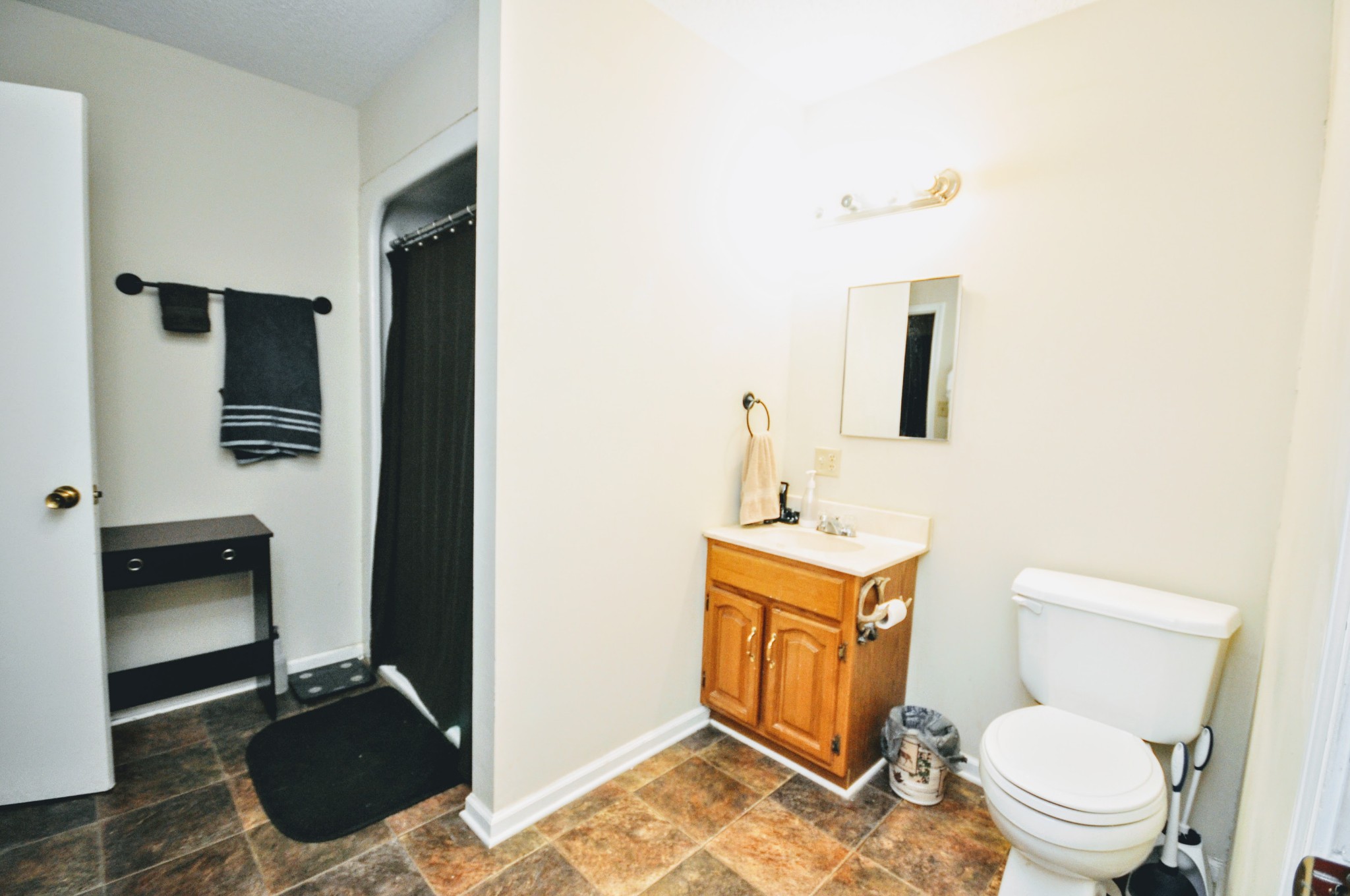 290 Lakeview Manor Road Springville, TN 38256 - Photo 8 of 36 a bathroom with a toilet a sink and mirror