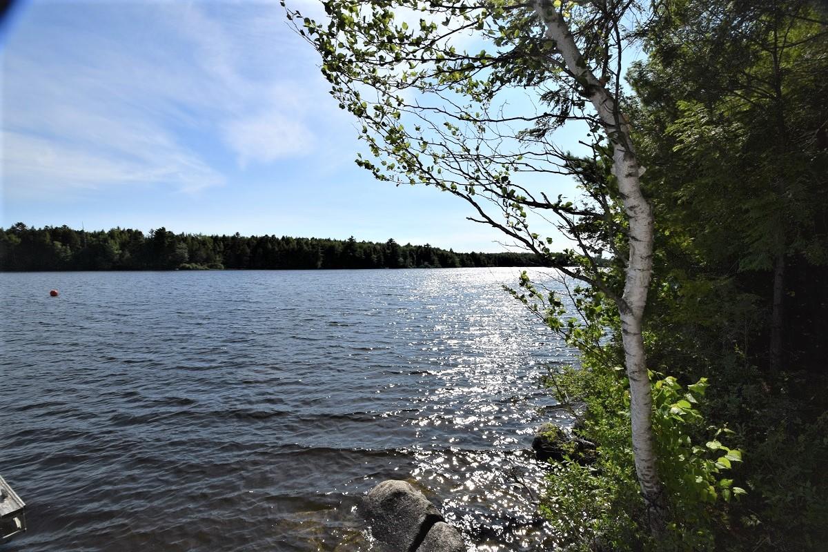 1650 Houston Road Lincoln, ME 04457 - Photo 60 of 70 Peaceful summer day...