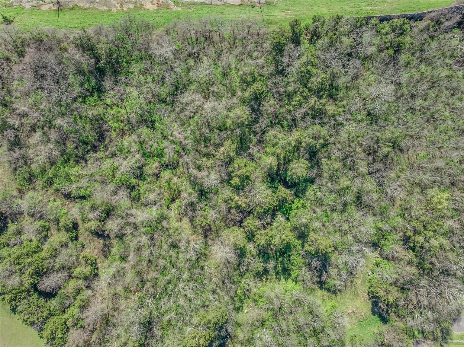 227 Spero Road Goodlettsville, TN 37072 - Photo 46 of 52 Gallery Image 46