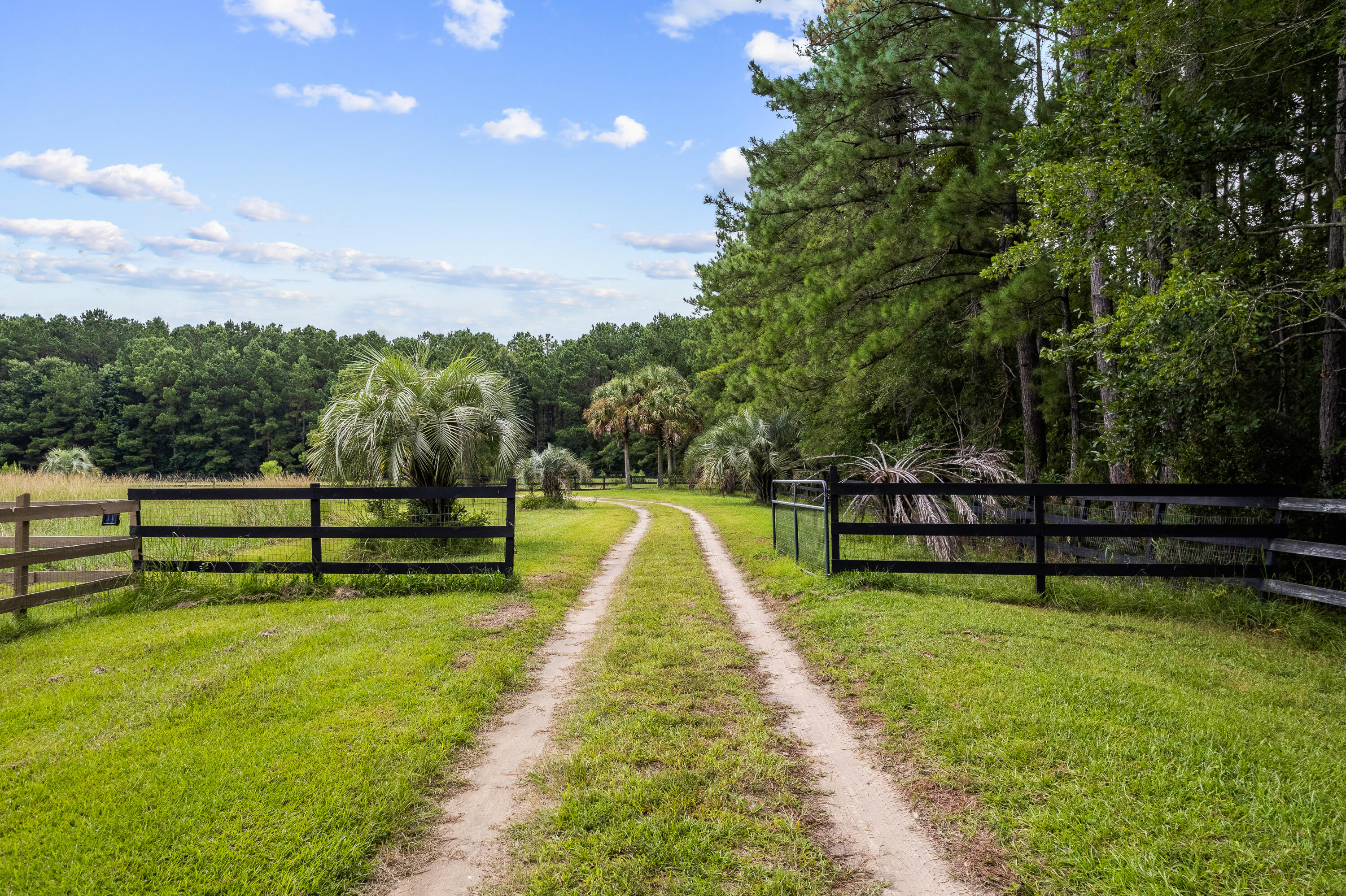 7275 Awendaw Landing Road Awendaw, SC 29429 - Photo 2 of 77 7275 Awendaw Landing Road-71
