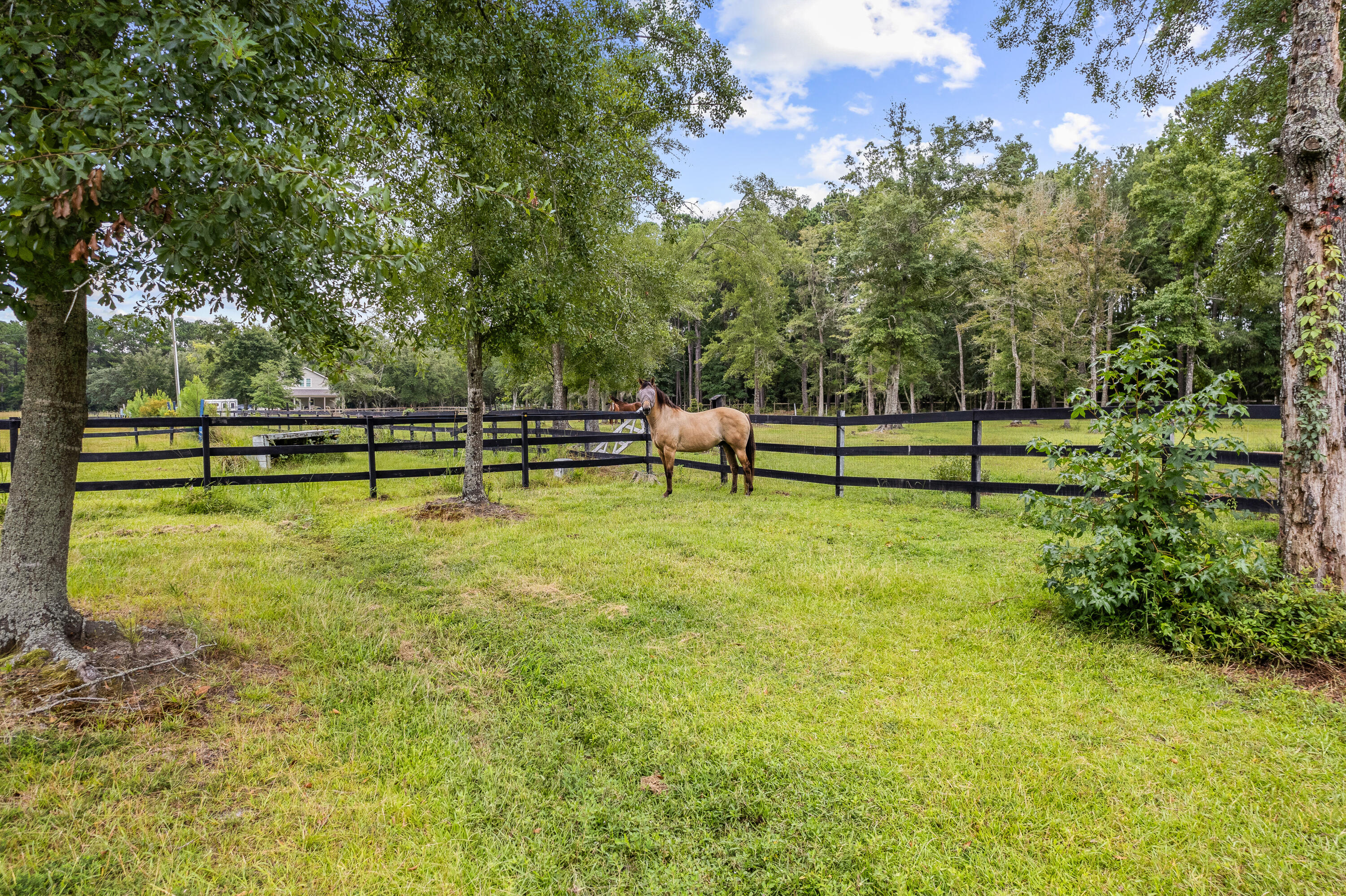 7275 Awendaw Landing Road Awendaw, SC 29429 - Photo 4 of 77 7275 Awendaw Landing Road-75