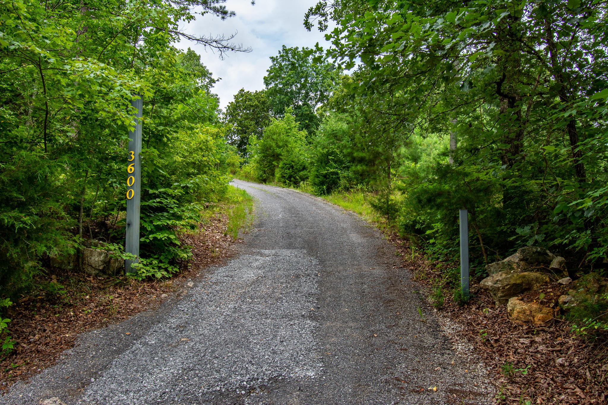 3600 Lynn Road Philadelphia, TN 37846 - Photo 37 of 37 a view of a yard with plants and a tree