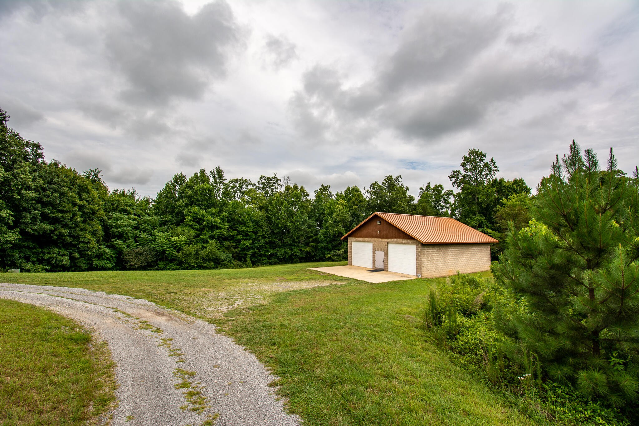 3600 Lynn Road Philadelphia, TN 37846 - Photo 4 of 37 a backyard of a house with lots of green space and trees