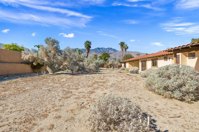 a view of a backyard