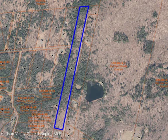 a view of a forest with lots of trees