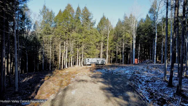 a view of a outdoor space with trees