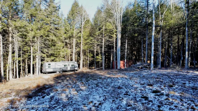 a view of a pathway of a house with large trees