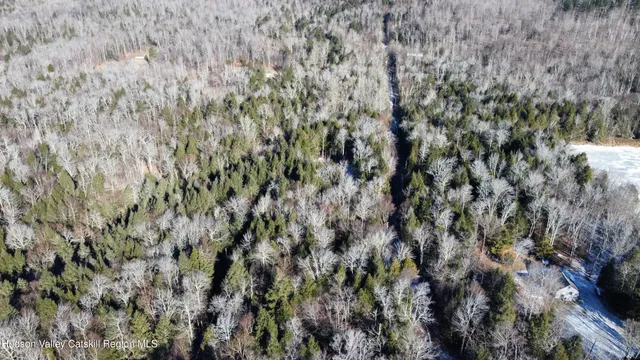 a view of a large tree in a field