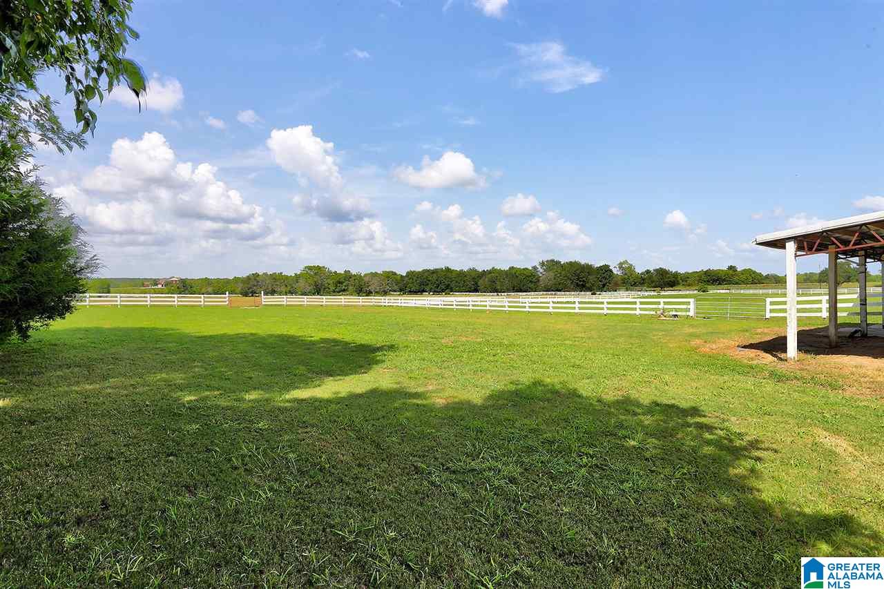 3041 Mathews Drive Mathews, AL 36052 - Photo 49 of 50