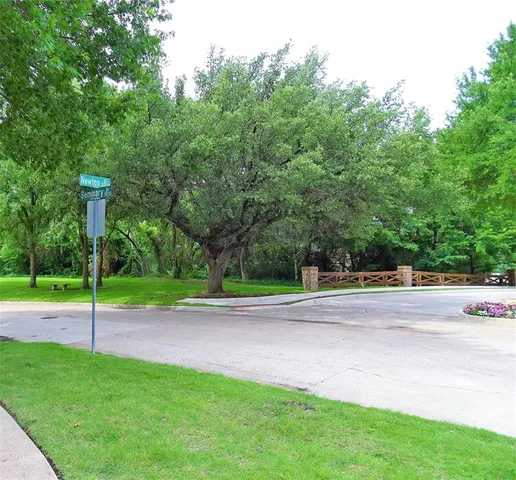 a view of a park with a small trees