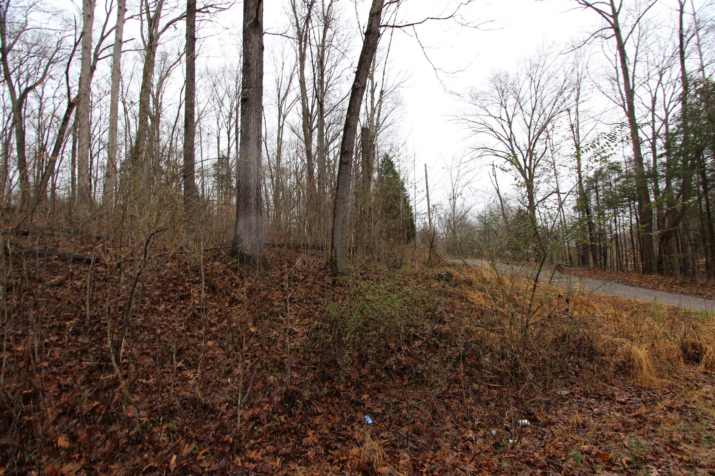 Corner lot with public water available