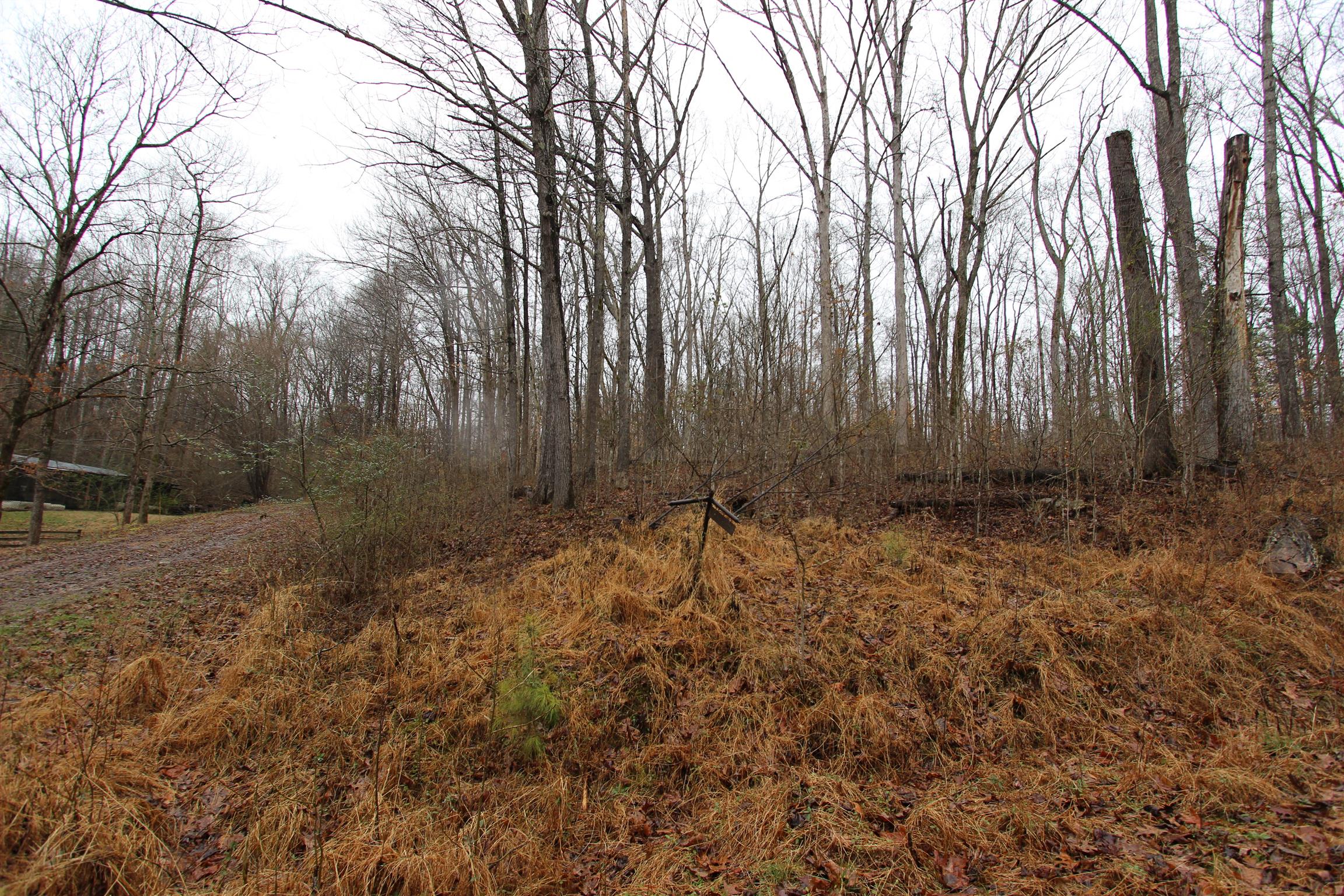 Sloped & wooded lot