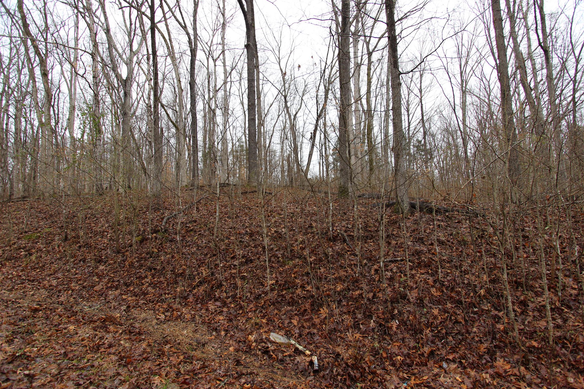 Minutes to Barkley Lake & Boat launching & LBL