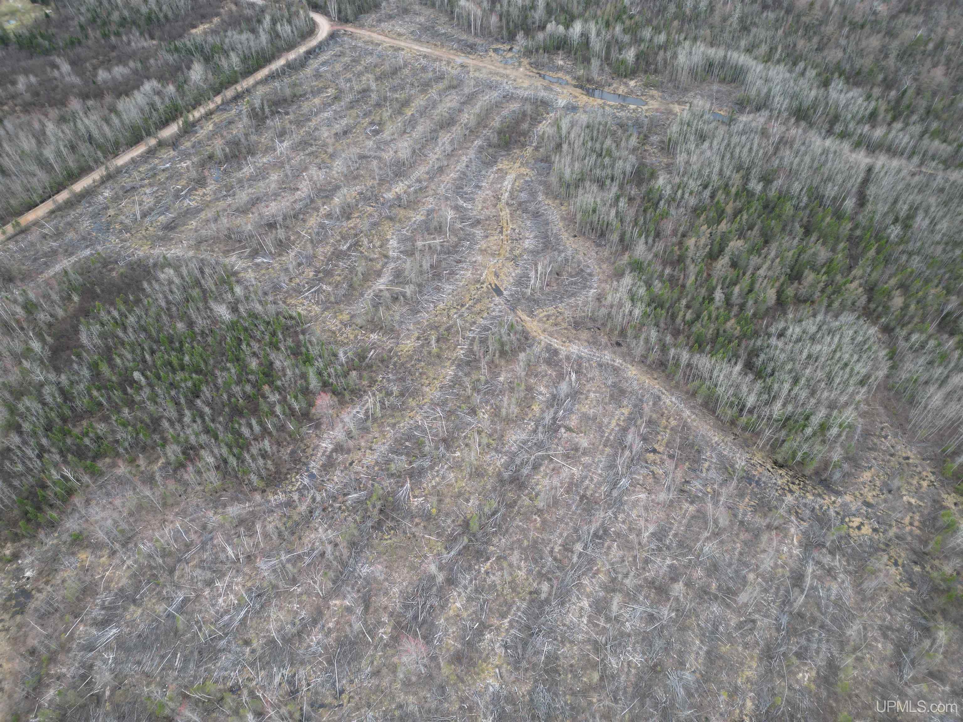 Tbd North Rock 38th Rd Sw 40 Road Rock, MI 49880 - Photo 21 of 29