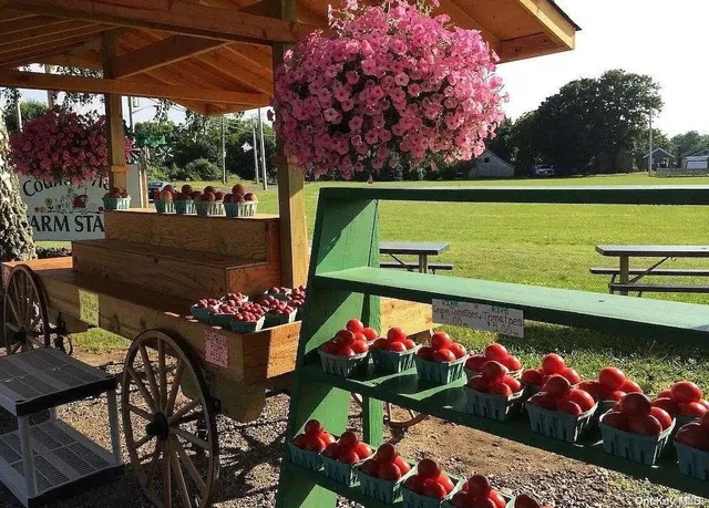 $28,000 | 1100 Pine Avenue, Southold, NY 11971