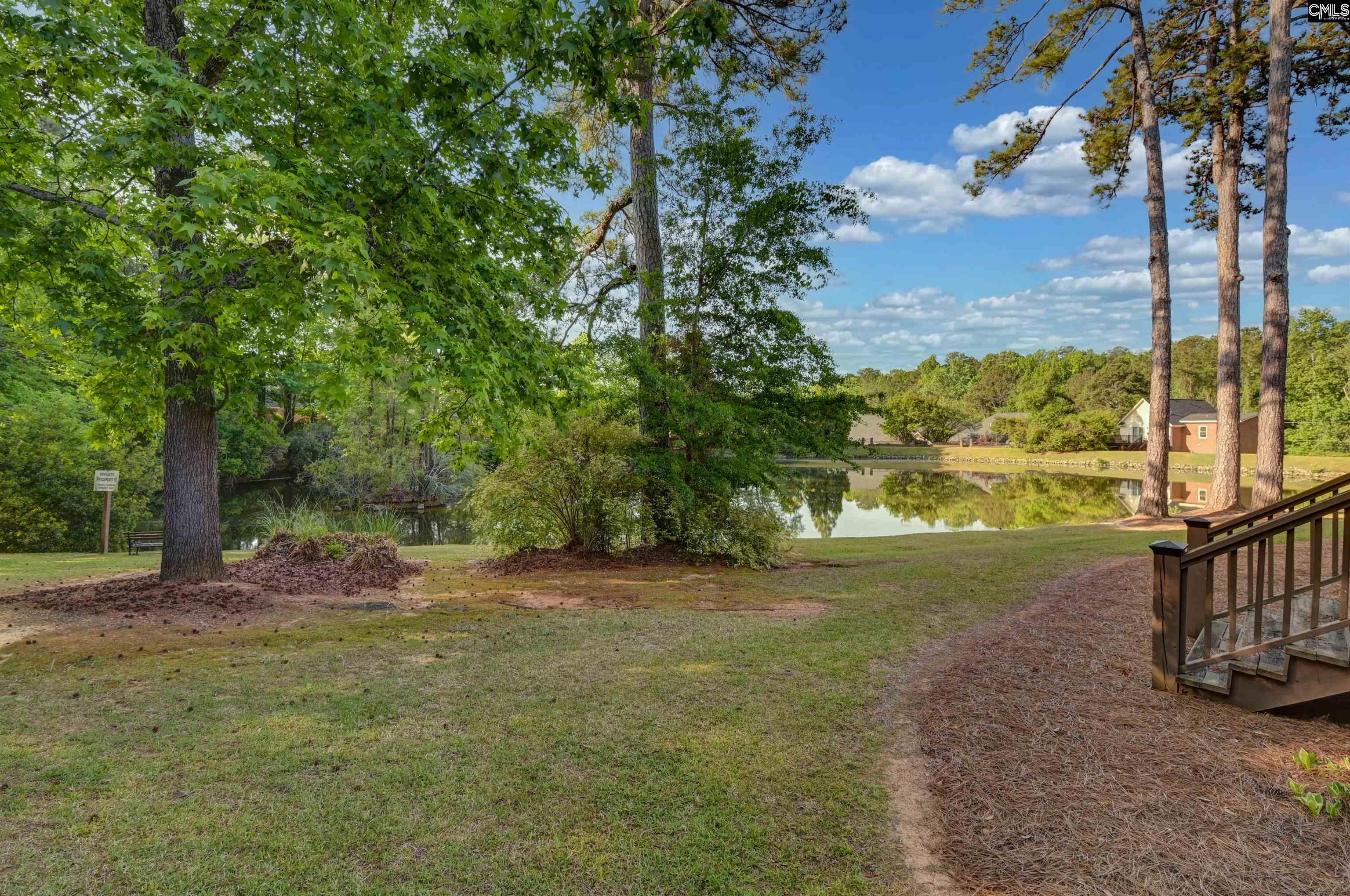 121 Wandering Brook Road Irmo, SC 29063 - Photo 8 of 47