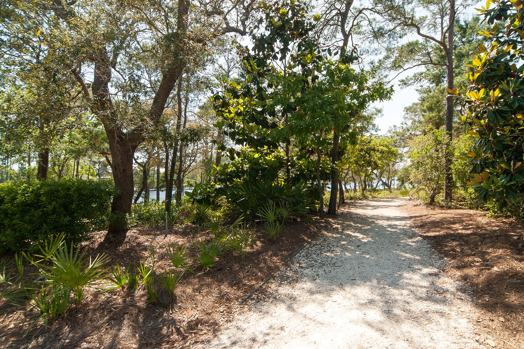 151 Red Cedar Way Santa Rosa Beach, FL 32459 - Photo 46 of 77 _DSC2129