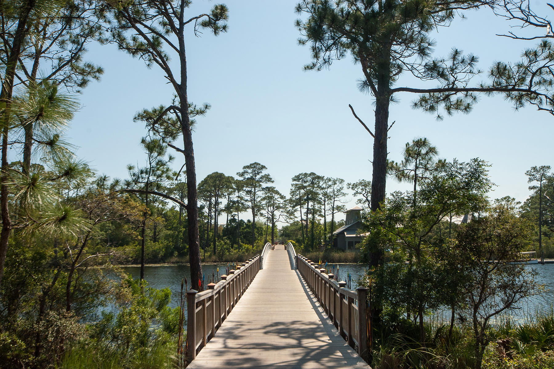 151 Red Cedar Way Santa Rosa Beach, FL 32459 - Photo 49 of 77 _DSC2131