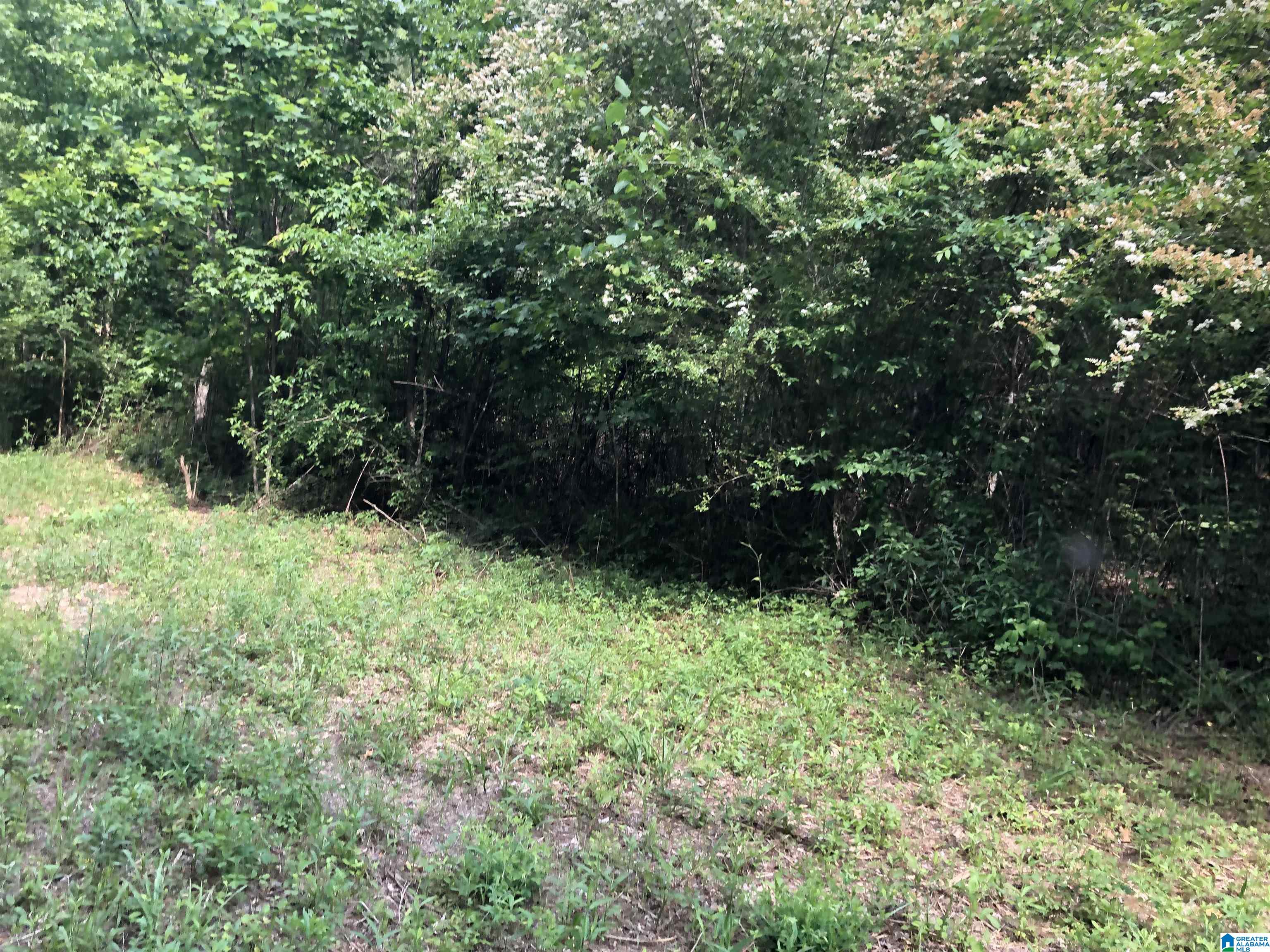 0 Peeks Hill Road, Unit 4 Ohatchee, AL 36271 - Photo 7 of 9