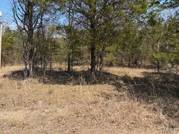 $6,500 | Lot 18 Monet Court, Bonne Terre, MO 63628