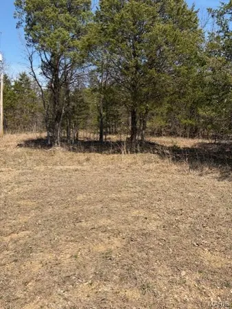 $6,500 | Lot 18 Monet Court, Bonne Terre, MO 63628