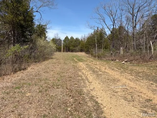 $6,500 | Lot 18 Monet Court, Bonne Terre, MO 63628