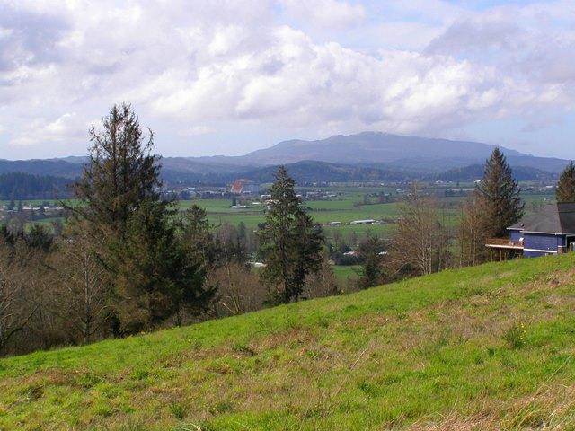 Lot 25 Skyview Road Tillamook, OR 97141 - Photo 6 of 21 P3180332.JPG