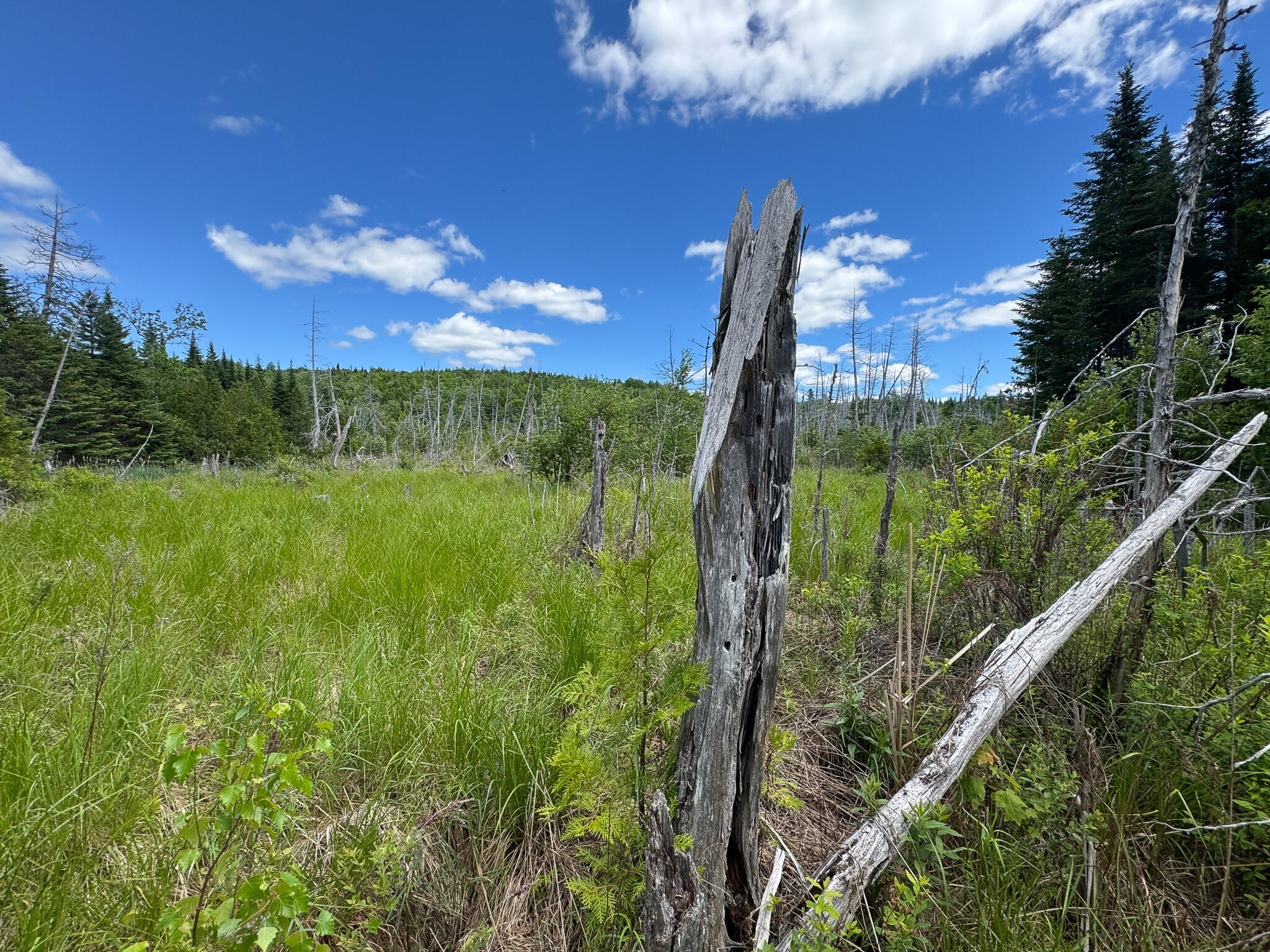 B B Lookout Lane Springfield, ME 04487 - Photo 19 of 33