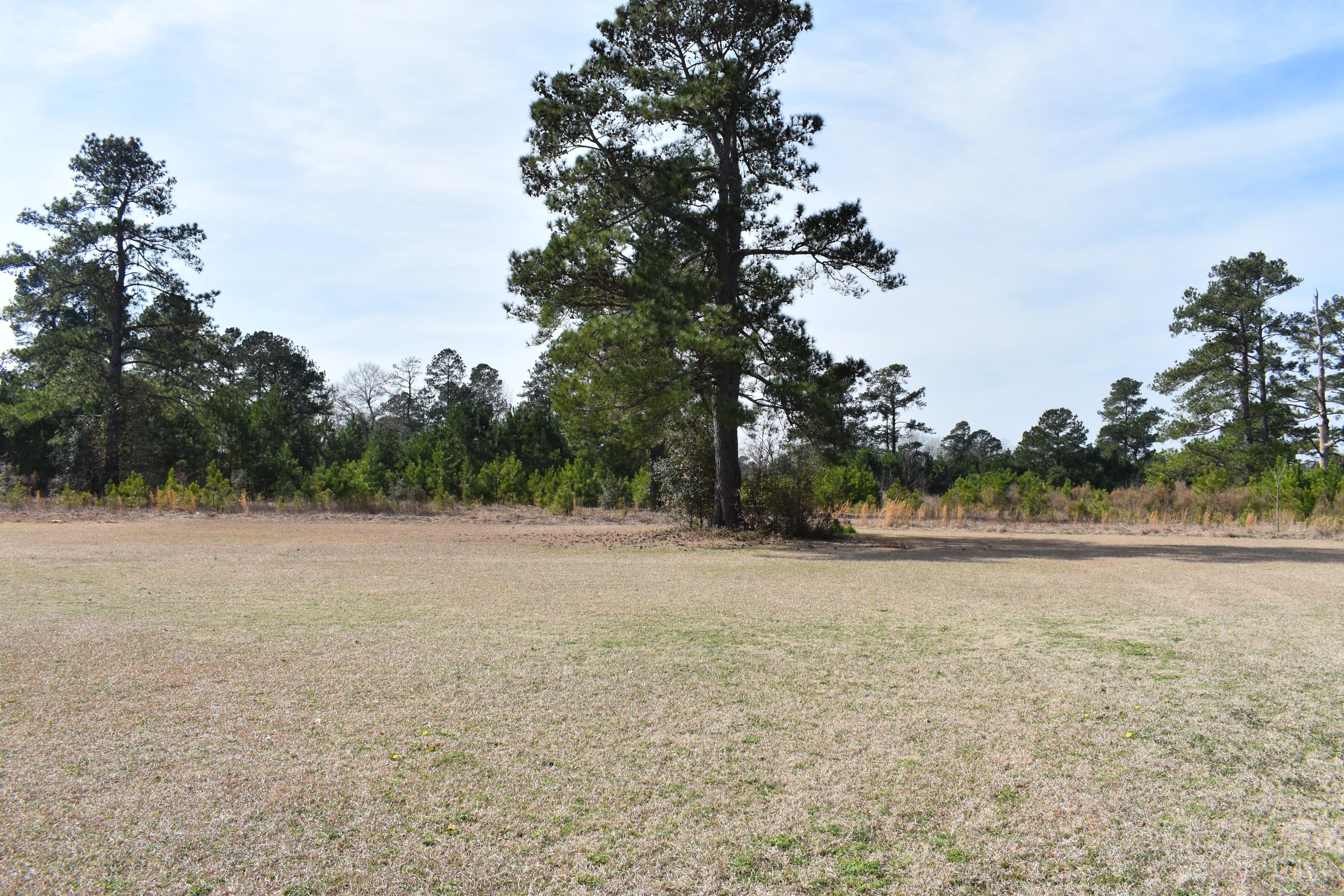 1976 Bloomville Road Manning, SC 29102 - Photo 3 of 22 DSC_0020
