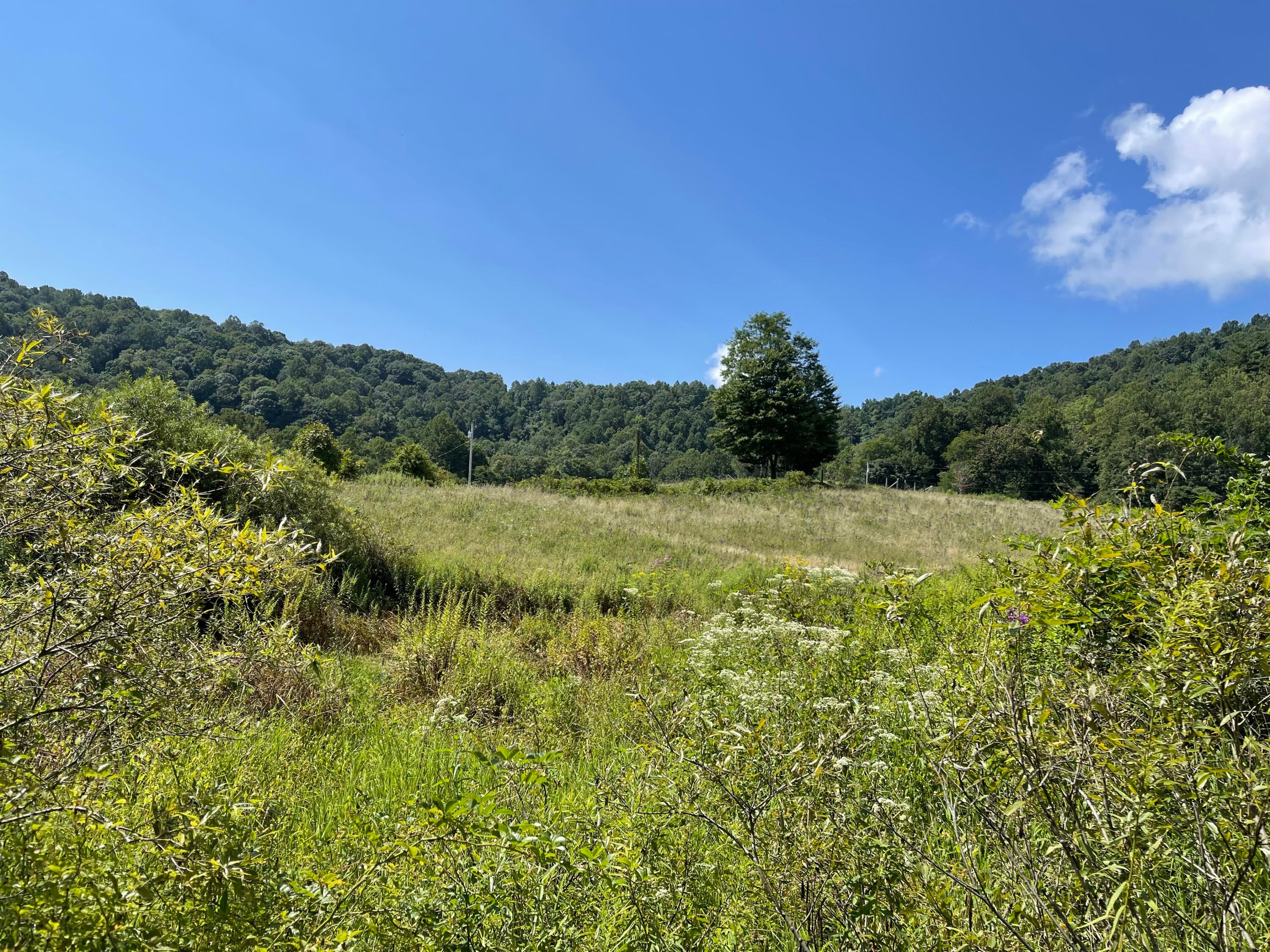 Ward Bench Road Sandstone, WV 25985 - Photo 18 of 92 Gallery Image 18