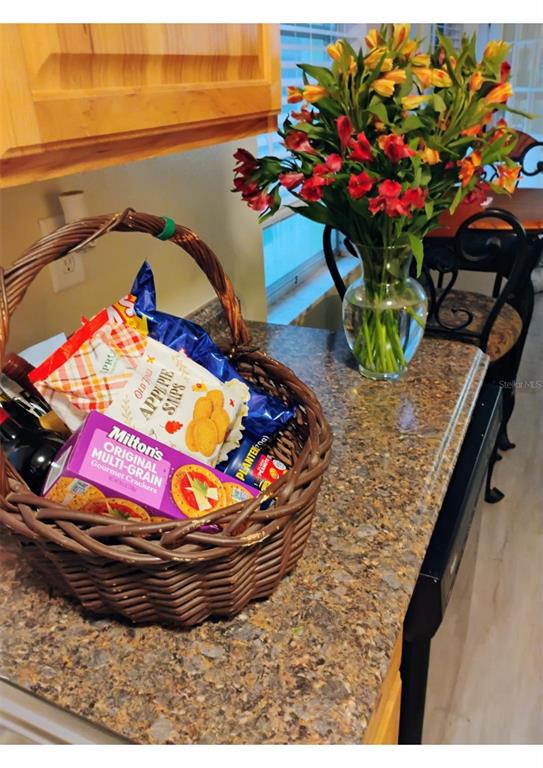 504 Milwaukee Avenue, Unit A Dunedin, FL 34698 - Photo 4 of 27 a view of a living room with furniture