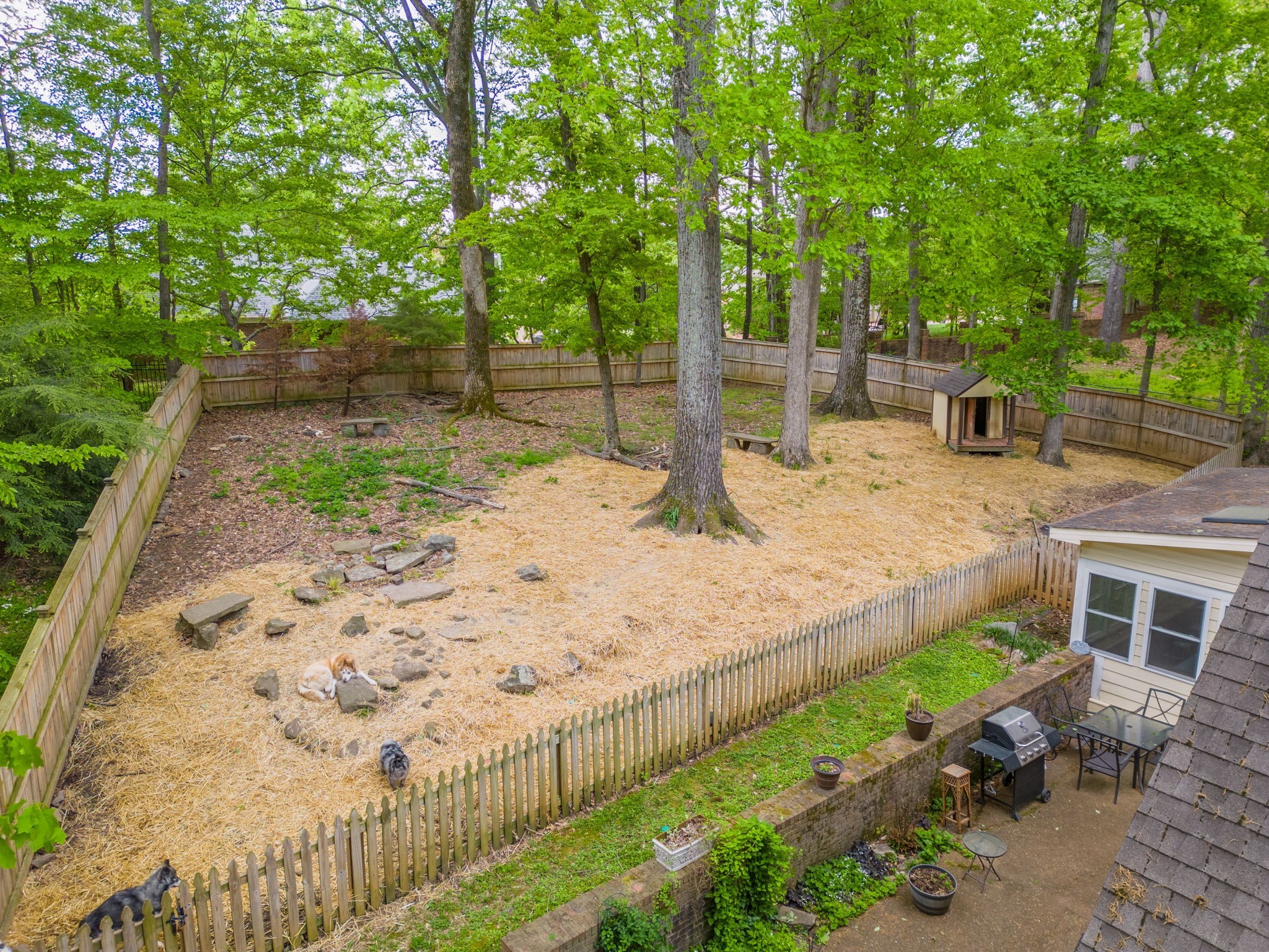 612 Fairway Trail Springfield, TN 37172 - Photo 39 of 50 a view of a backyard with wooden fence
