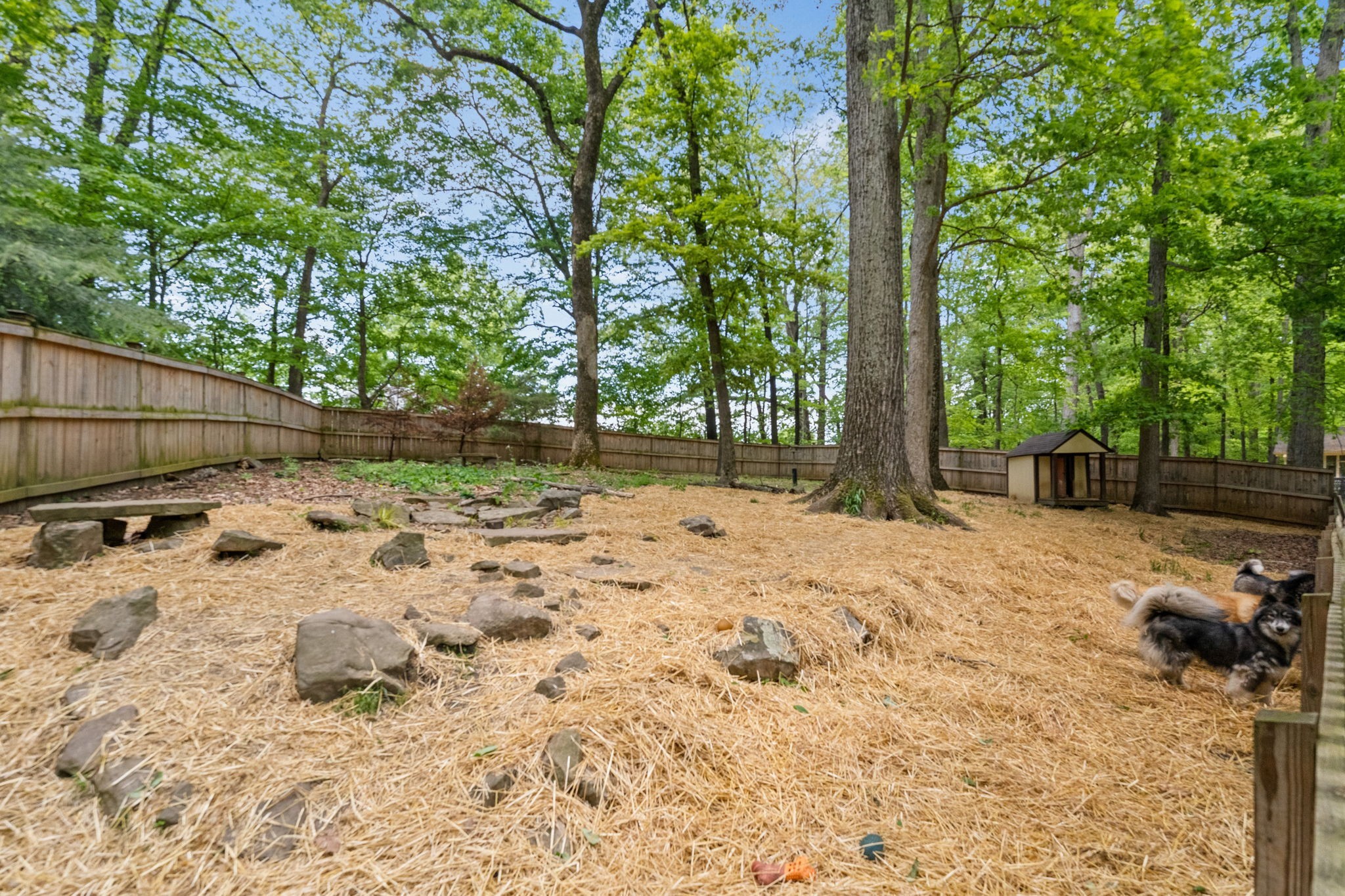 612 Fairway Trail Springfield, TN 37172 - Photo 40 of 50 a backyard of a house with a tree