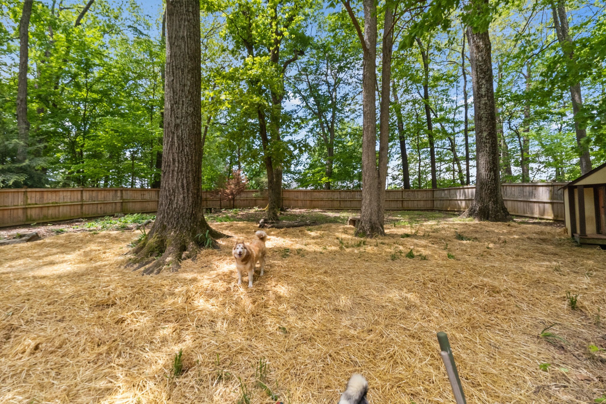 612 Fairway Trail Springfield, TN 37172 - Photo 48 of 50 a backyard of a house with lots of green space and fountain